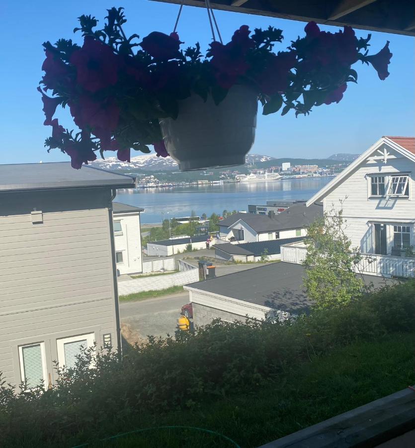 Polar Cozy Apartment - With View And Free Parking Tromsø Exteriör bild